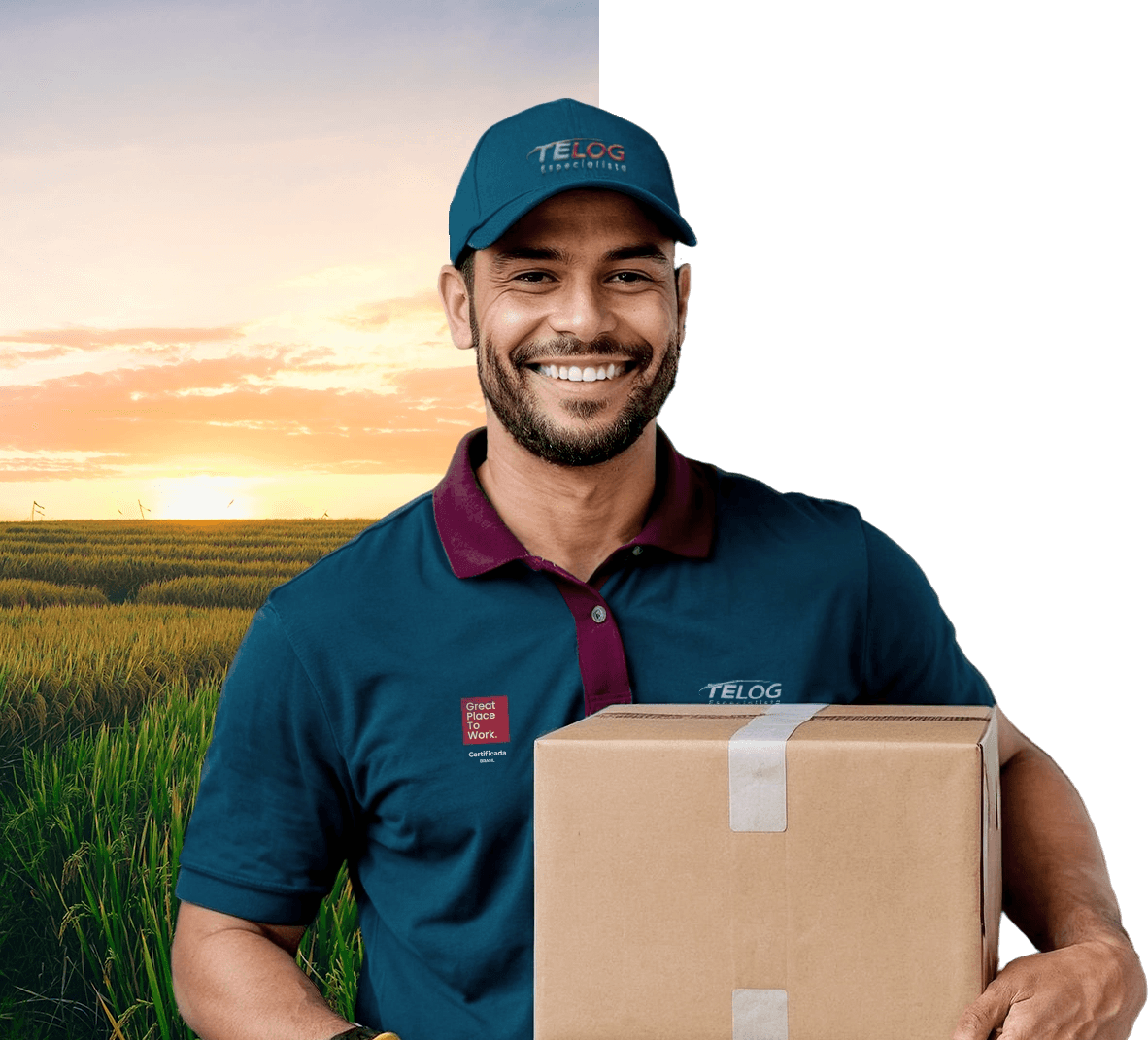 Colaborador Telog