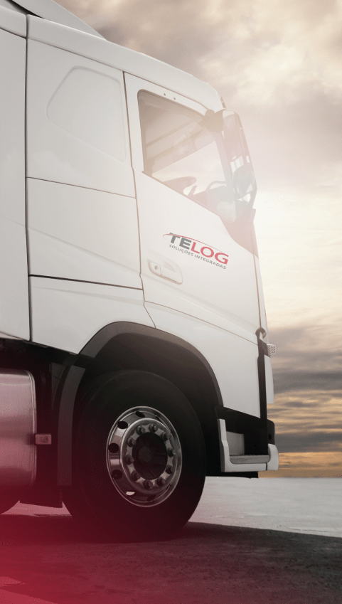 Estrutura<br /><strong>E expertise única</strong>